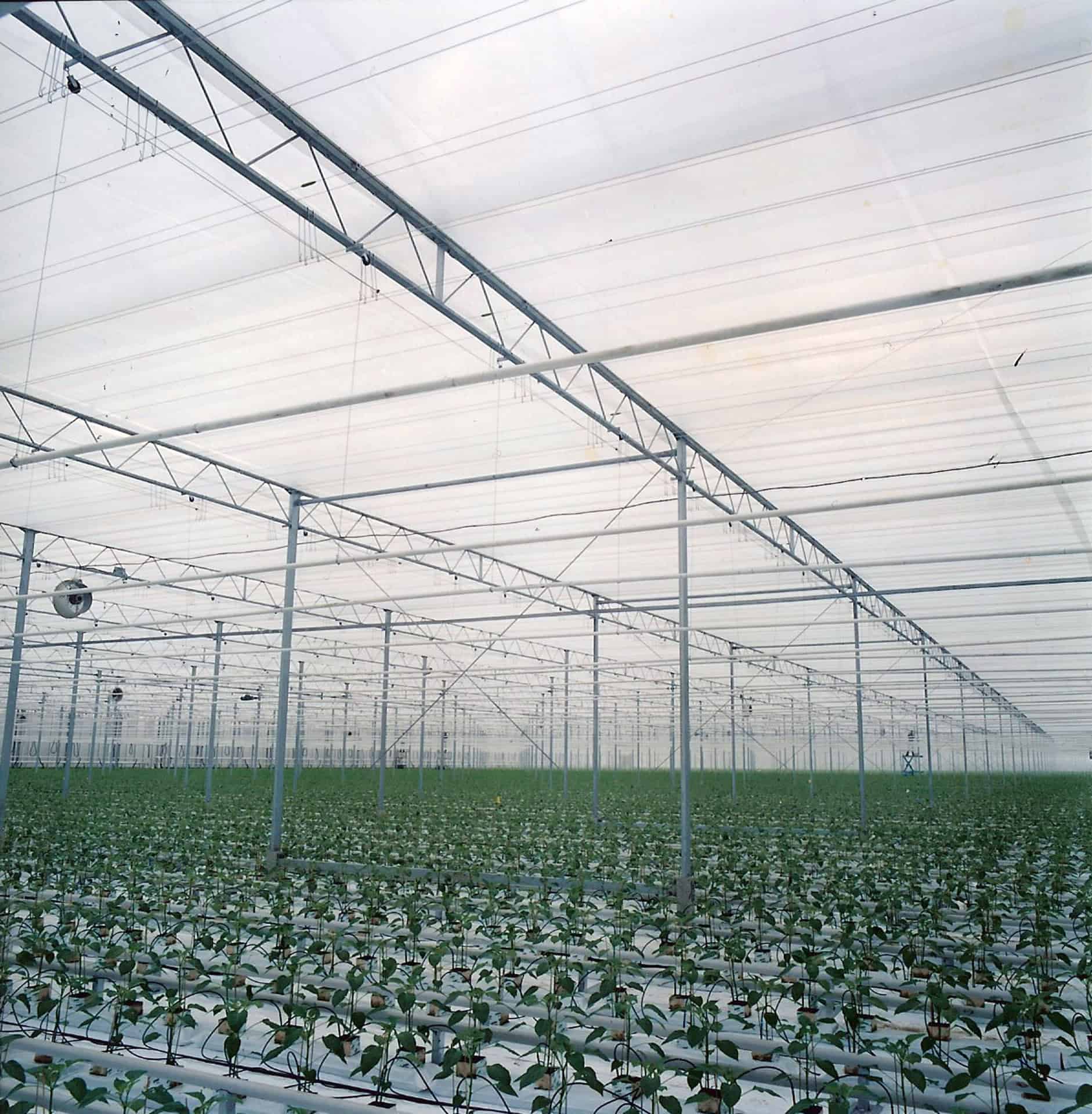 boers horizontaal energiescherm (7)